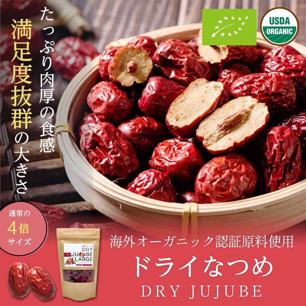 Grace of Nature なつめ ドライ 大粒 種あり 無添加 無農薬 USDA認証原料 Bio Terrace(ビオテラス)